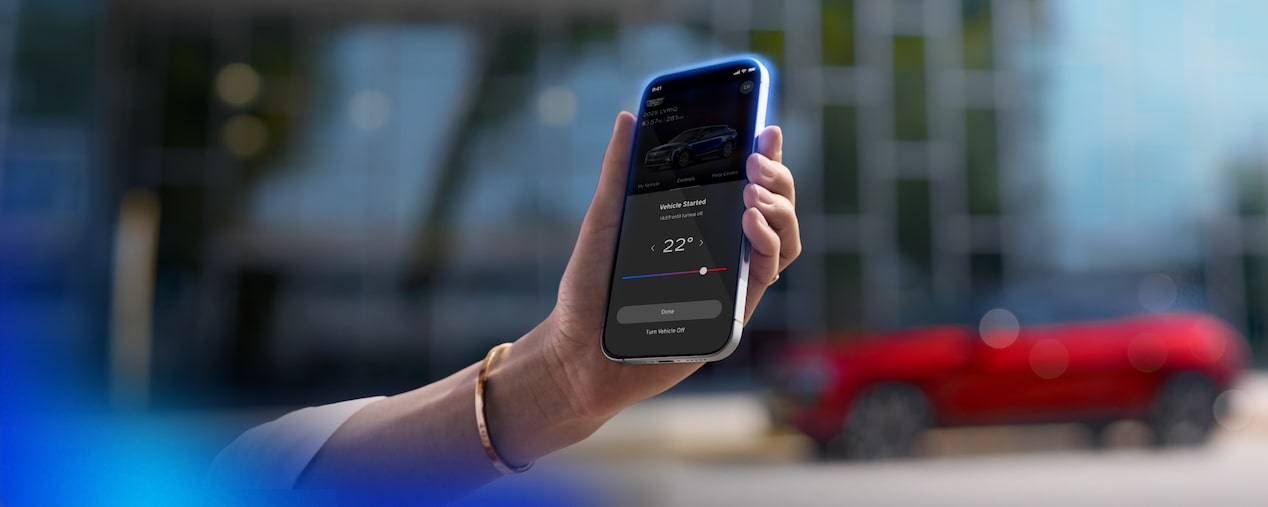 man with his phone in the hand