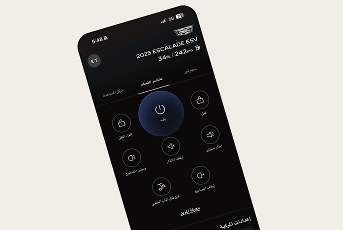 Remote-Assets