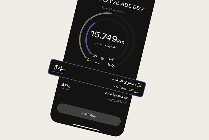 Vehicle-Status