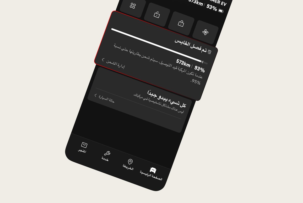 Remote-Assets